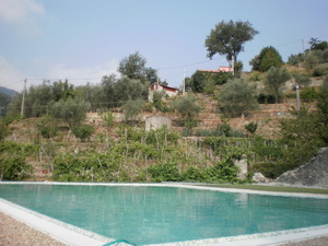 Properties for sale in Italy, on the Italian Rivieras, in the Italian Lakes and Tuscany.